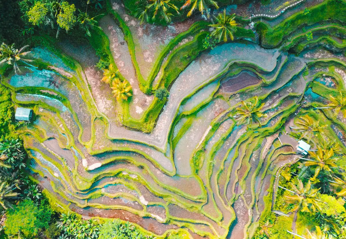 Bali Honeymoon Packages