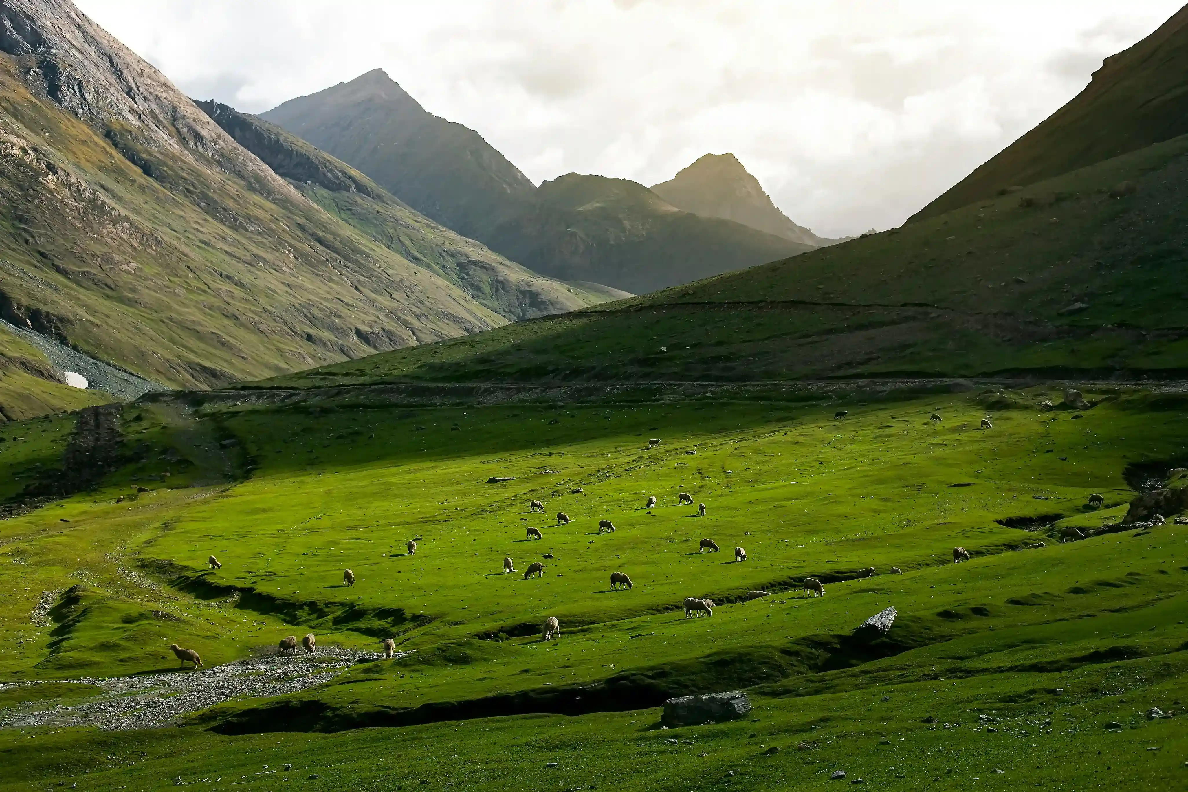 Summer vacation in Jammu and Kashmir