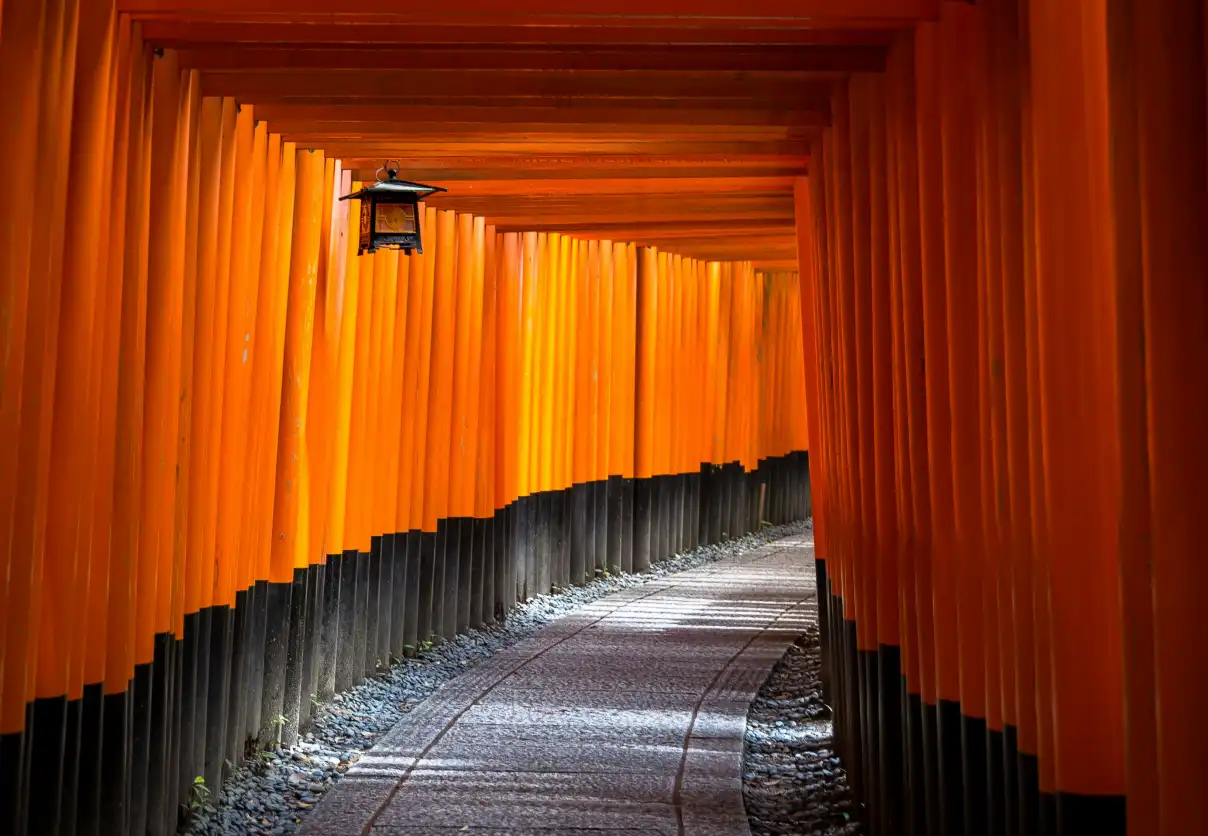 Discover Japan (With Flights)