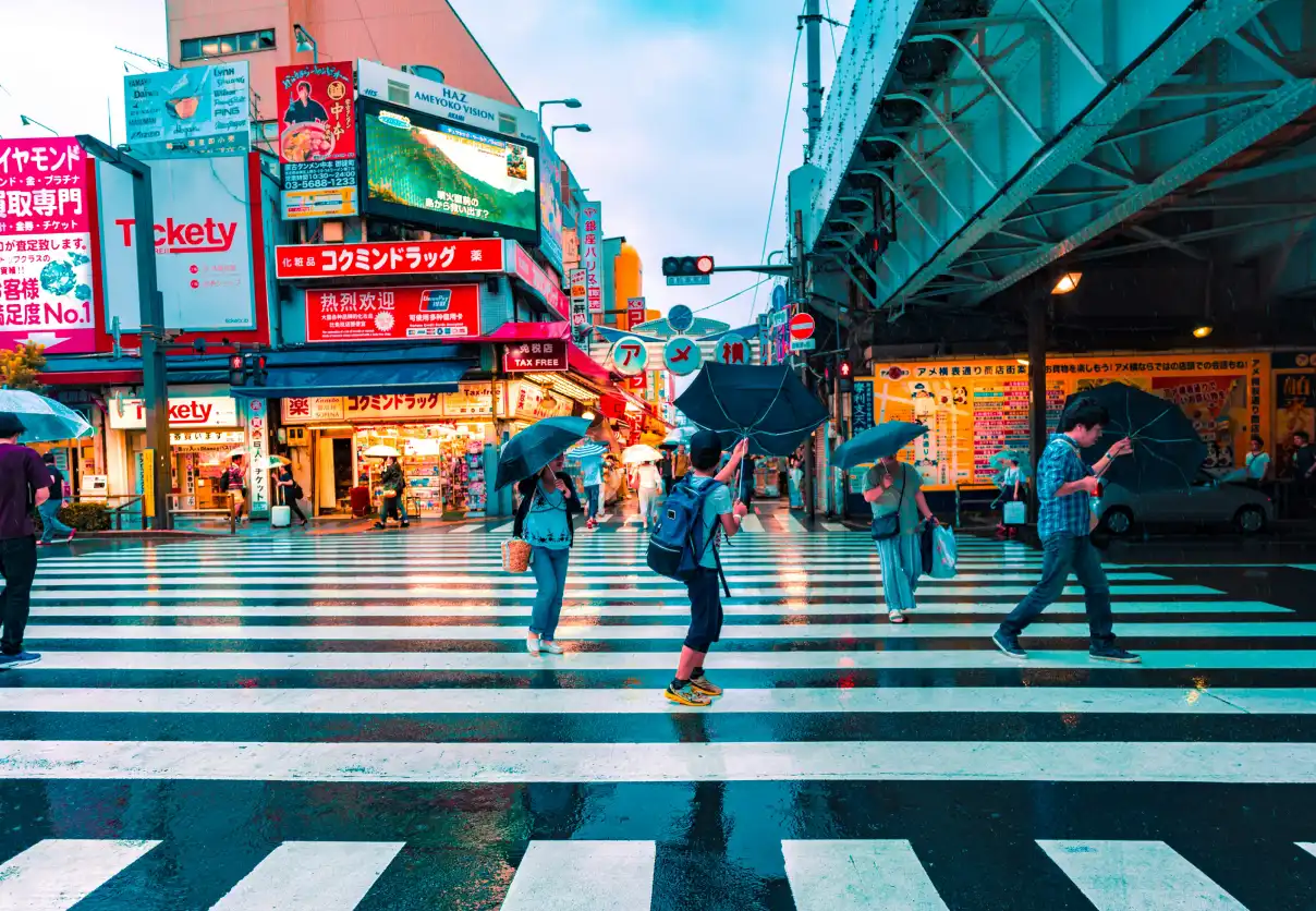 Japan Escapade (With Flights)