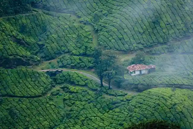best time to visit Munnar