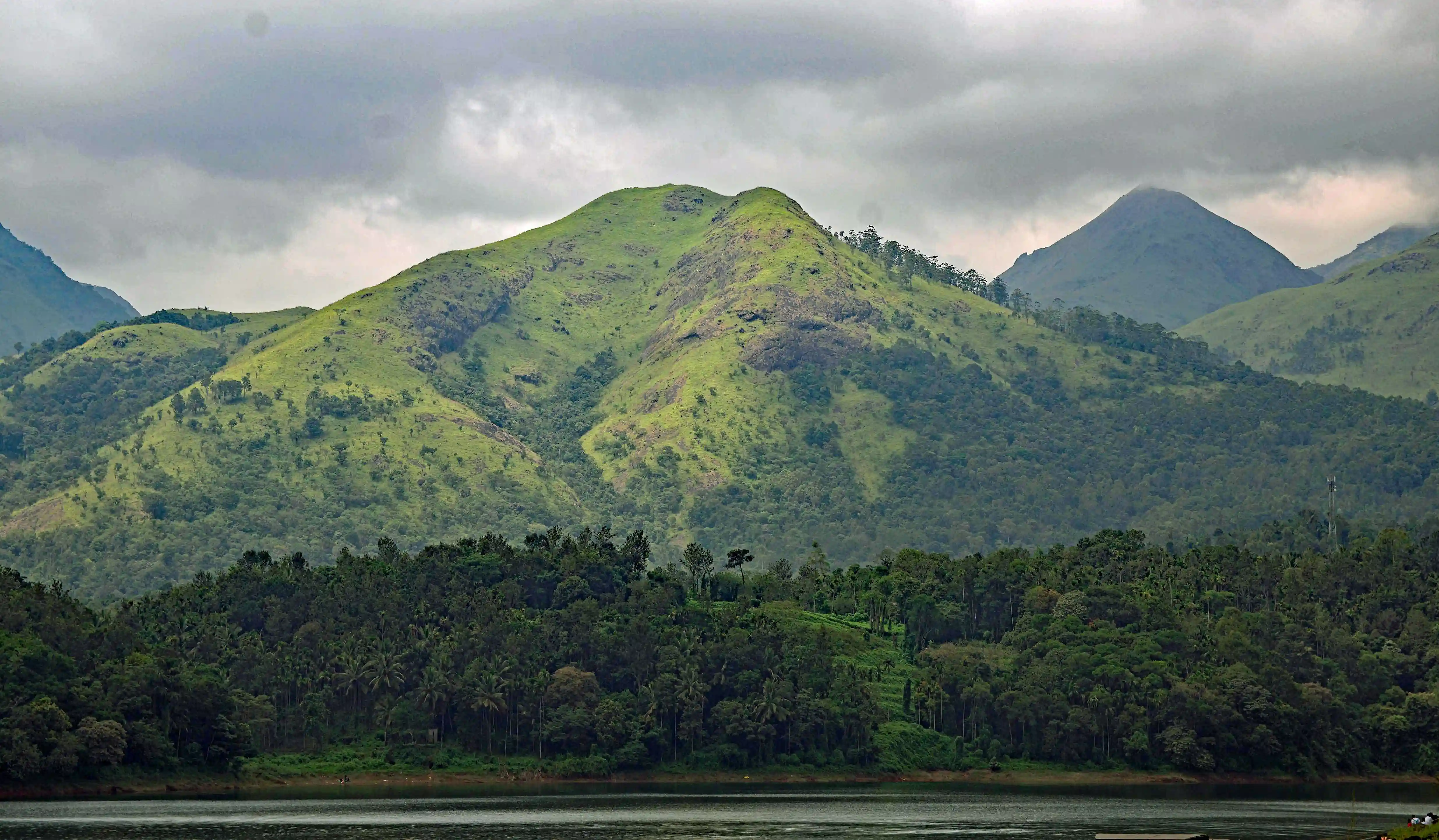 Best Time to Visit Wayanad
