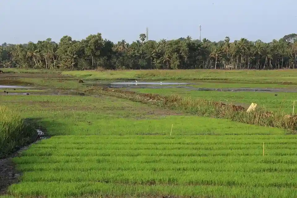 Hidden places in Palakkad