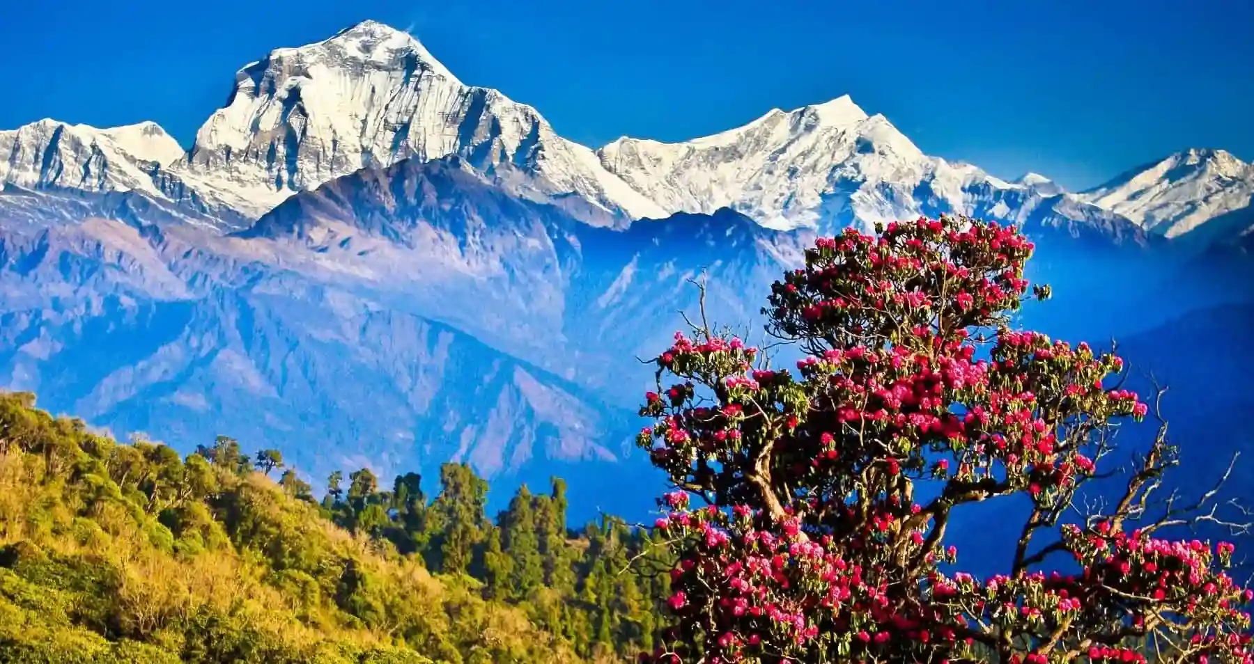 Nepal in Summer