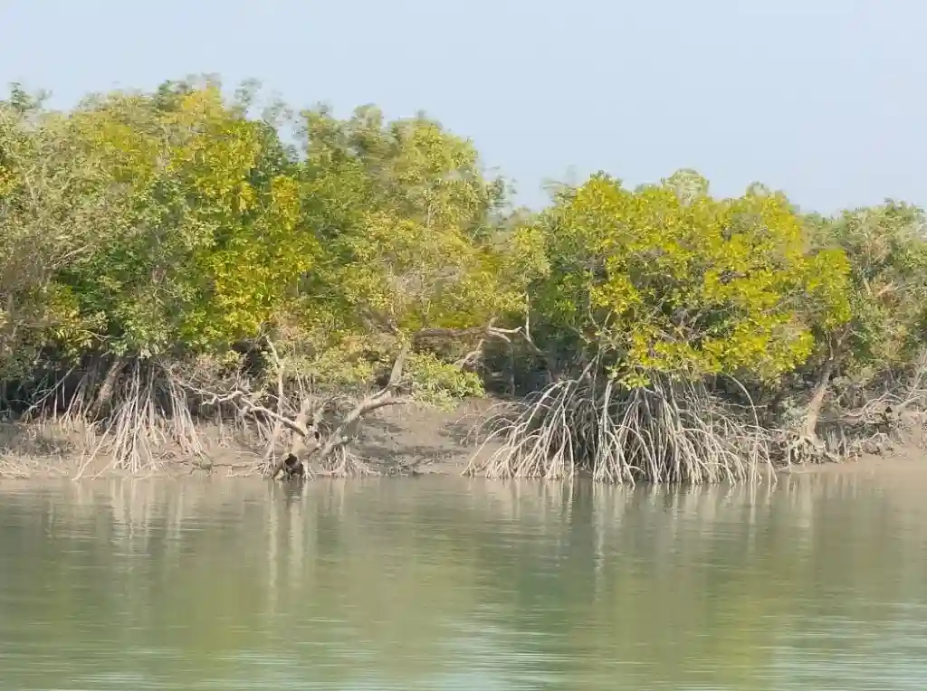 Sundarbans National Park