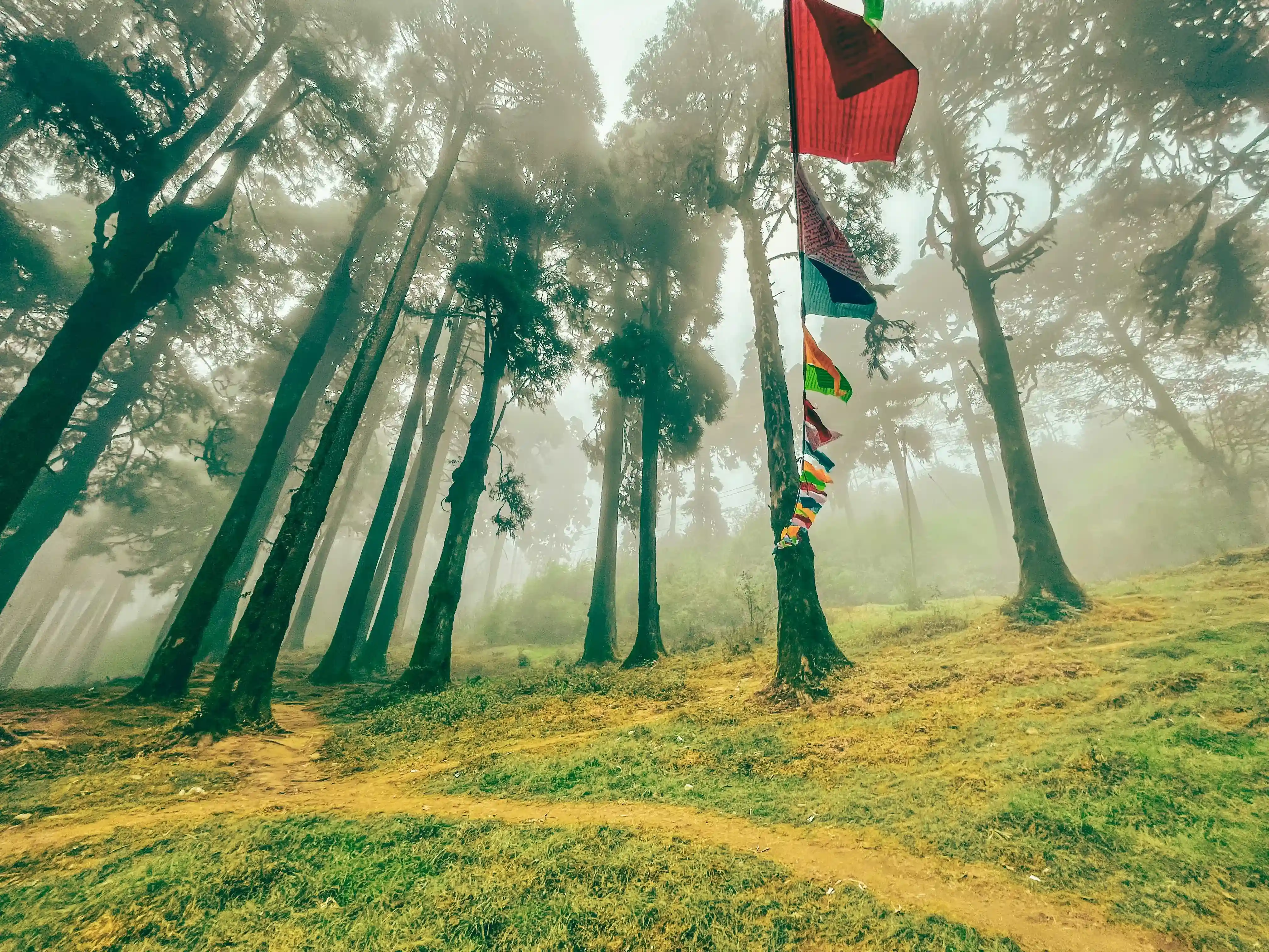 Things To Do in Darjeeling